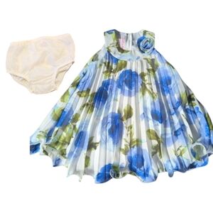 2pc Retro Dress Baby Girls Blue Watercolor Roses Jessica Ann Pleated Dress